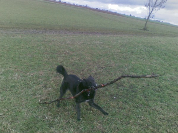 med_Ich bin stark!.jpg (600 x 450)